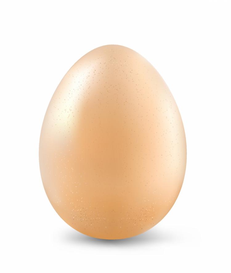 free vector Egg