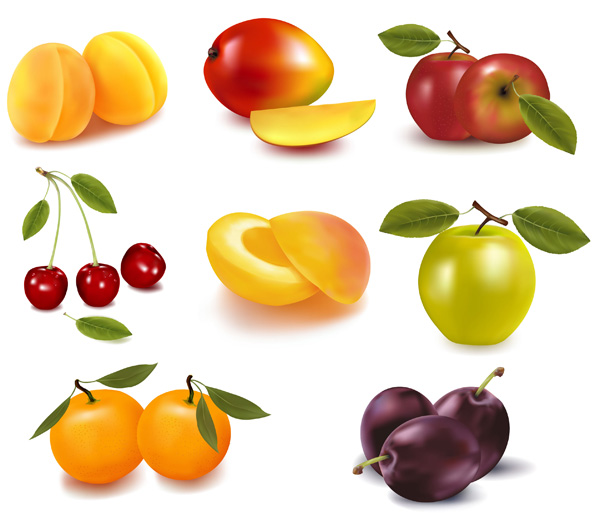 free vector Eight kinds of fruits vector