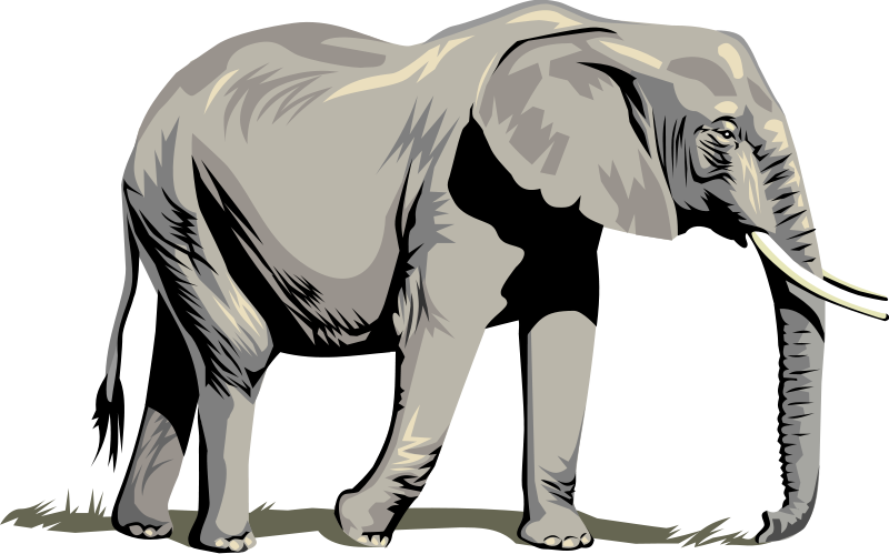 free military clipart pictures of elephants