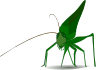 free vector Emeza Grasshopper clip art