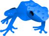 free vector Endangered Blue Poison Dart Frog clip art