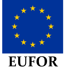 free vector Eufor Coat Of Arms clip art