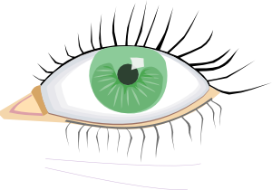free vector Eye clip art