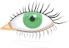free vector Eye clip art