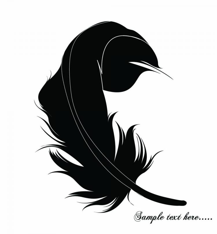 Download Feathers (1881) Free EPS Download / 4 Vector