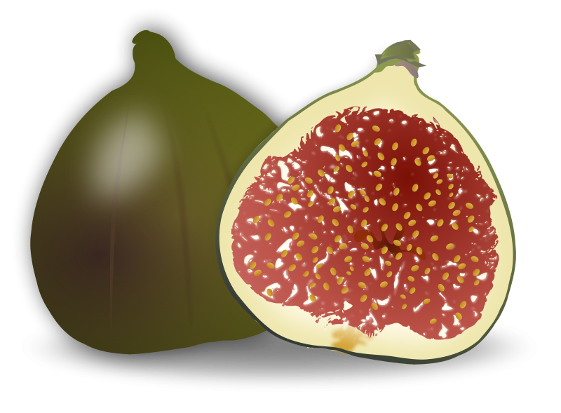 free vector Fig Fruit