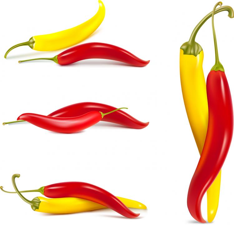 free vector Fine chili peppers vector