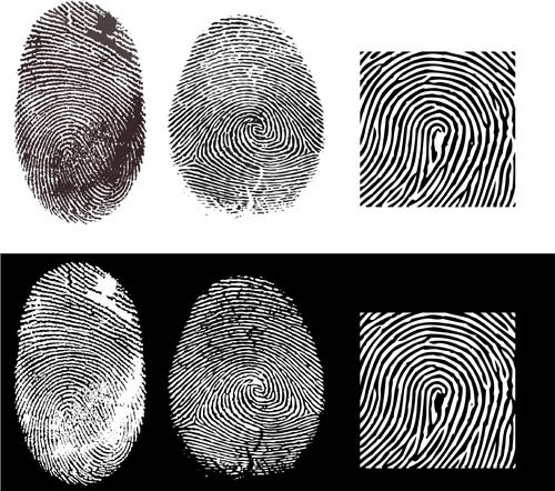 free vector Fingerprint vector 2