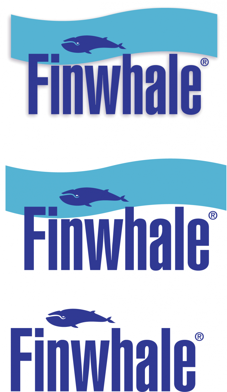 free vector Finwhale