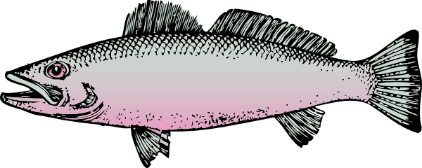 Download Fish clip art (118966) Free SVG Download / 4 Vector
