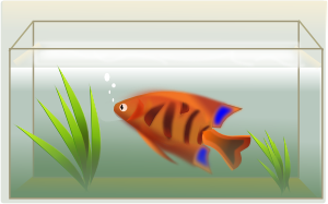 free vector Fish Tank clip art