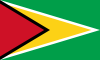 free vector Flag Of Guyana clip art