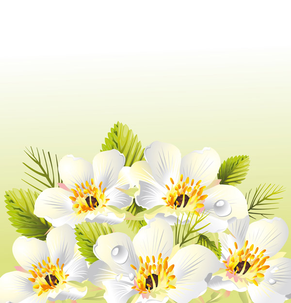 free vector Flower border u0026amp background vector