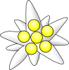 free vector Flower Circles clip art