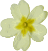 free vector Flower clip art