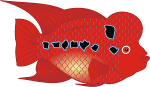 free vector Flower Horn Fish clip art