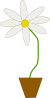 free vector Flower In A Pot clip art