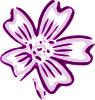 free vector Flower Of Chicora clip art