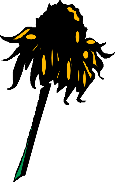 free vector Flower Rudbeckia clip art