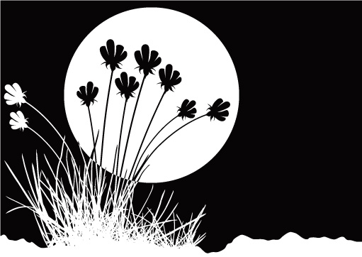 free vector Flowers and black-and-white vector