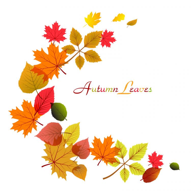 free vector Flowing autumn leaves frame