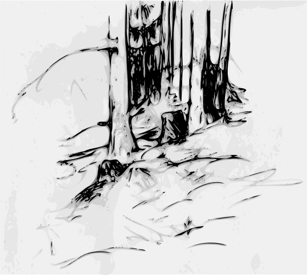 free vector Forest_trees_oberzeiring2004 clip art