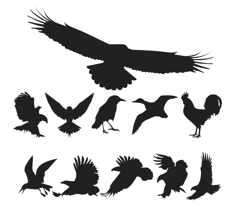 Download Free Birds Silhouettes (28490) Free AI, CDR Download / 4 ...