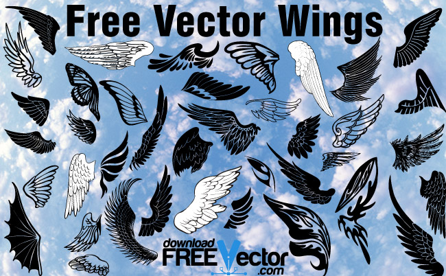Free Wings (8091) Free AI Download / 4 Vector