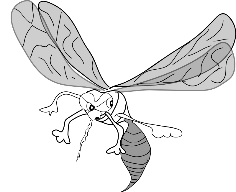 free vector FREEHAND MOSQUITO