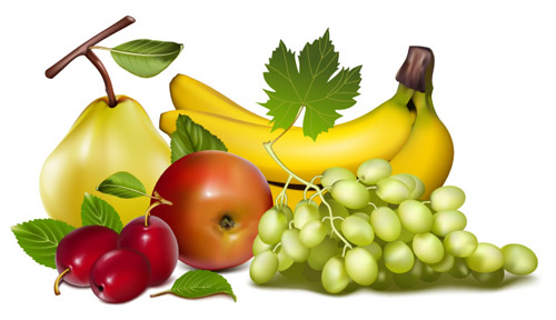 Download Fruit and vegetable theme (4272) Free EPS Download / 4 Vector