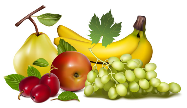 free vector fruit clipart - photo #9