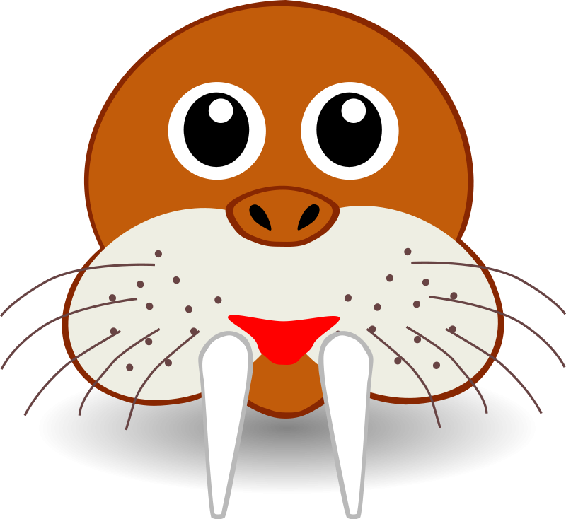 free vector Funny walrus face