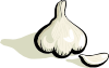 free vector Garlic clip art