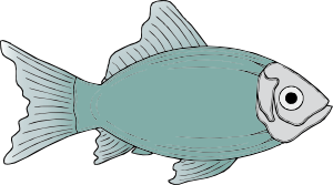 free vector Generic Fish clip art