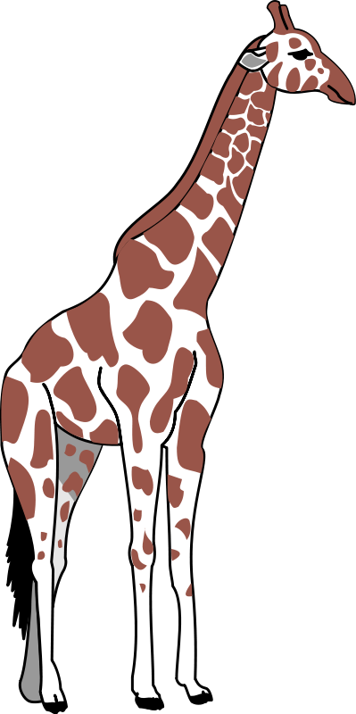 free vector Giraffe