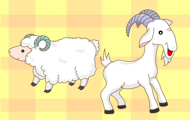 free vector Goats sheep cartoon