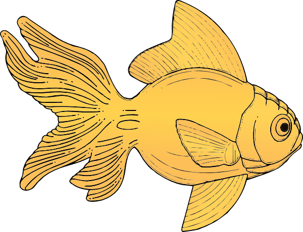 Golden Fish clip art (118967) Free SVG Download / 4 Vector