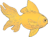 free vector Golden Fish clip art