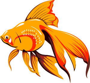 Golden Fish clip art (128413) Free SVG Download / 4 Vector