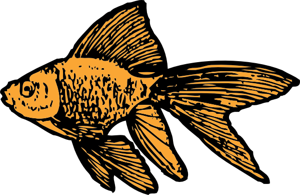 free vector Goldfish clip art