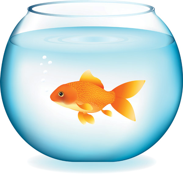 free vector Goldfish vector 2