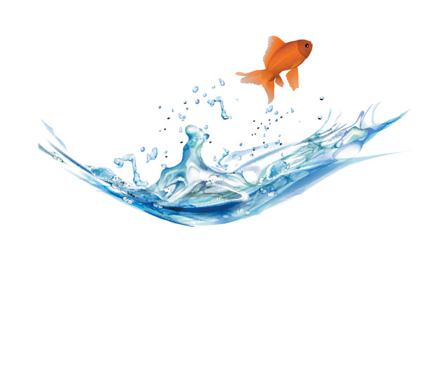 free vector Goldfish vector 5