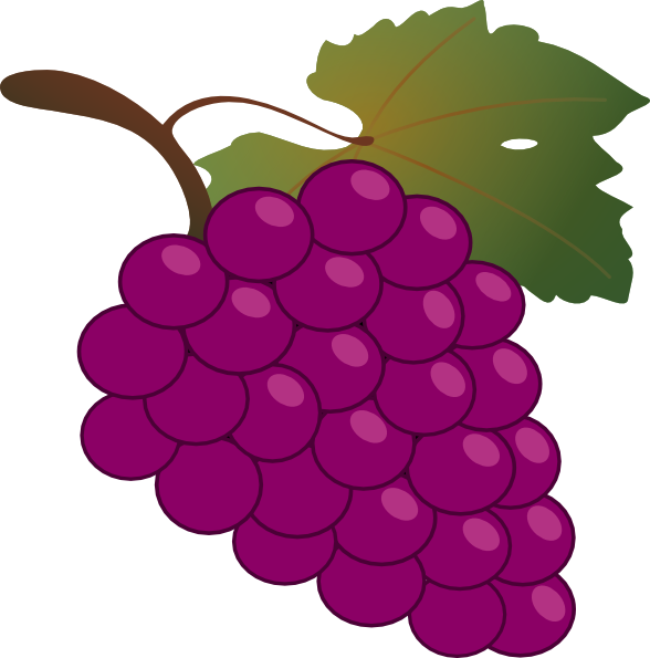 free vector Grape clip art