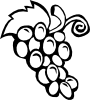 free vector Grape Vine clip art