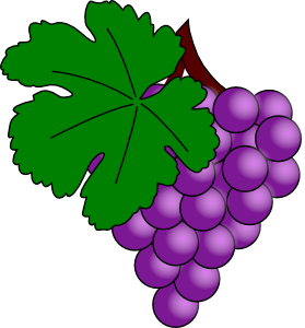 free vector Grape With Vine Leaf clip art