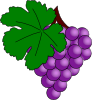 free vector Grape With Vine Leaf clip art