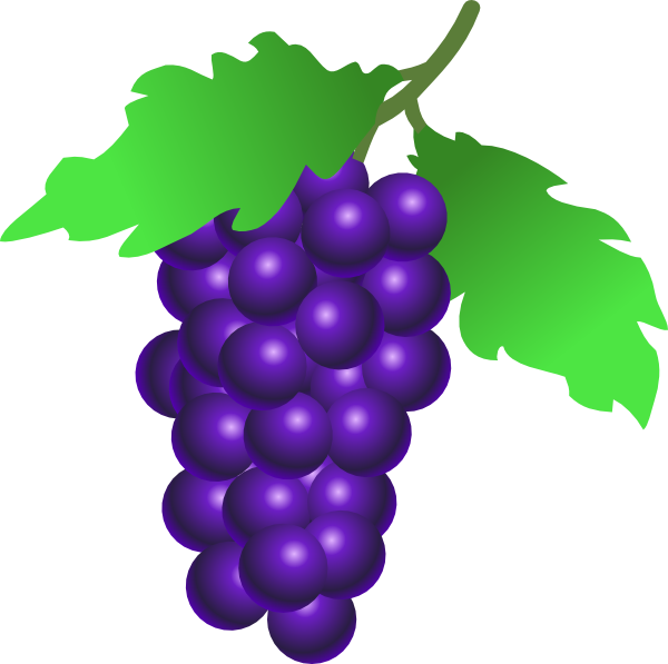 free vector Grapes Vine clip art