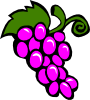 free vector Grapes Vine clip art