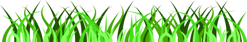 free vector Grass