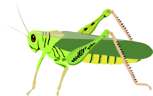 free vector Grasshopper Locust clip art